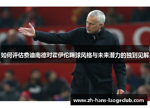 如何评估费迪南德对霍伊伦踢球风格与未来潜力的独到见解