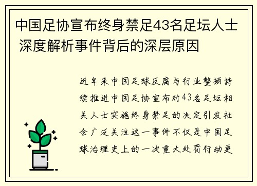 中国足协宣布终身禁足43名足坛人士 深度解析事件背后的深层原因